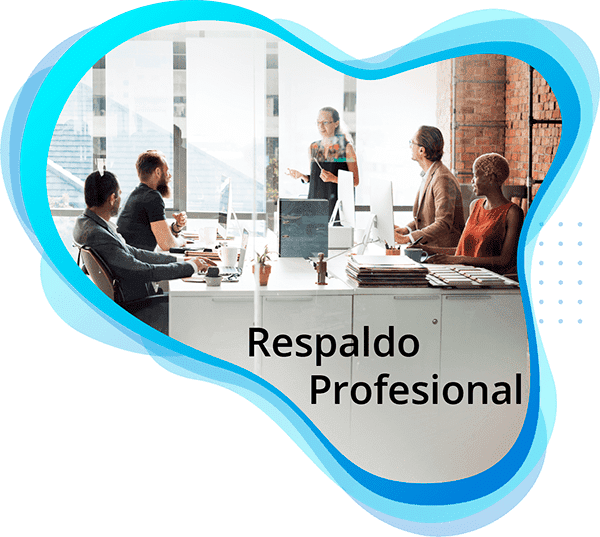 respaldo-profesional_600x537
